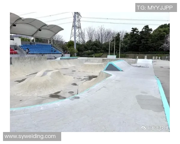 滑板文化的边缘探索：深入杭州滑板队的独特战术与风格解析